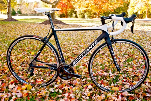 The Scattante CFR Race